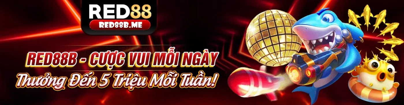 Tin tức Zom51 mới nhất