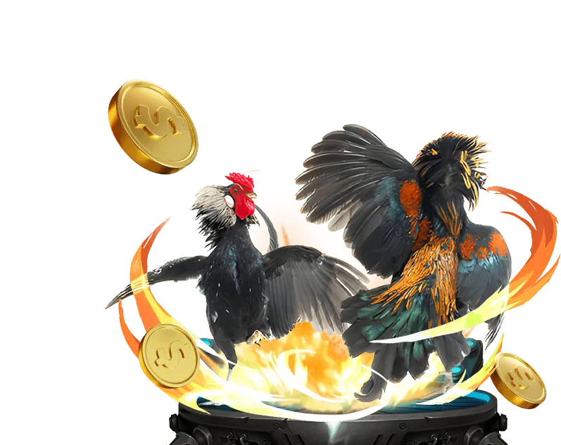 Quyền lợi VIP zom51